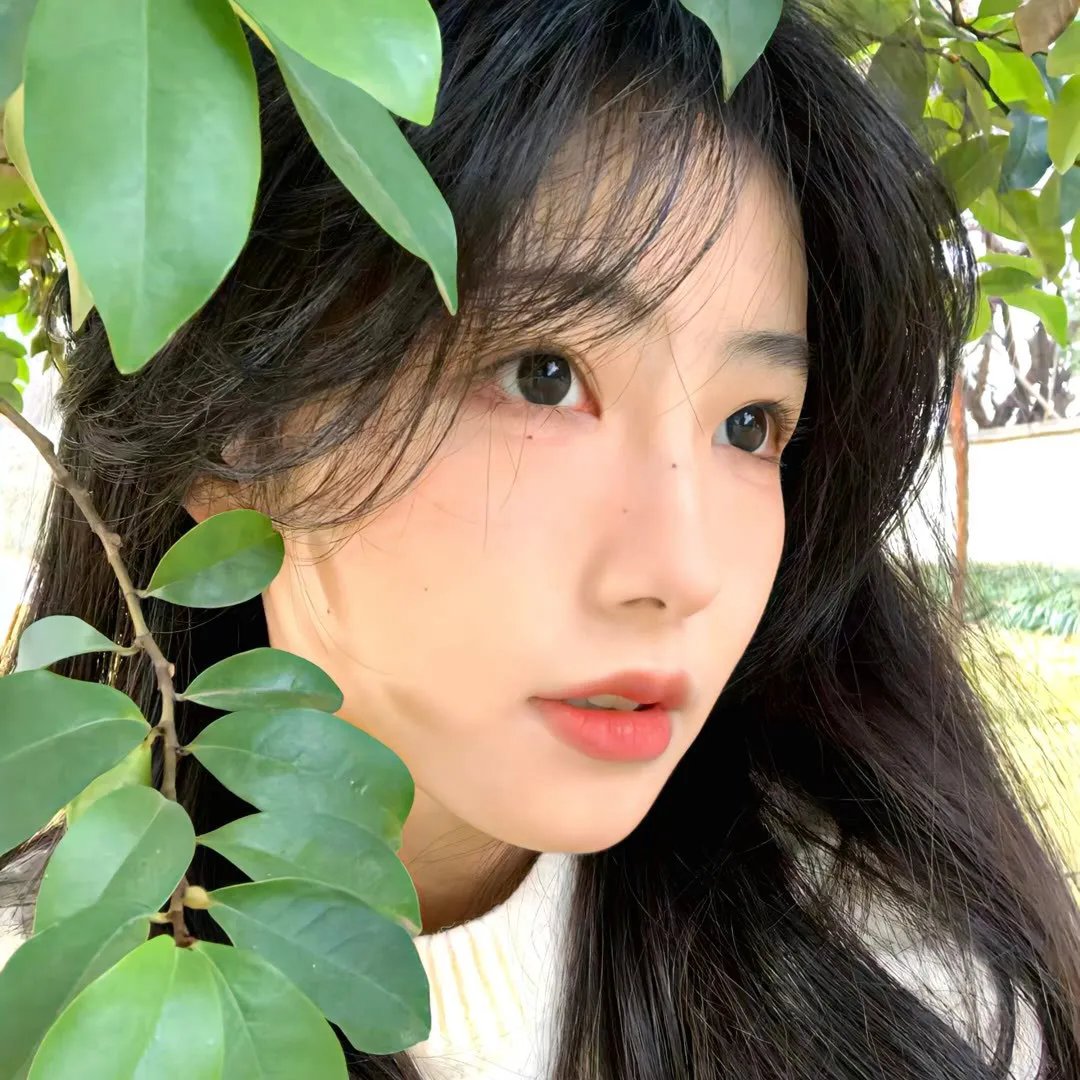 维也纳的姑娘们